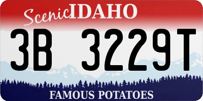 ID license plate 3B3229T