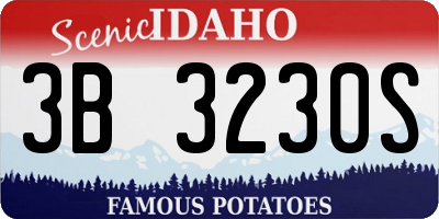 ID license plate 3B3230S