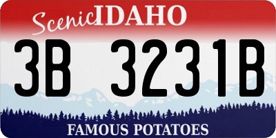 ID license plate 3B3231B