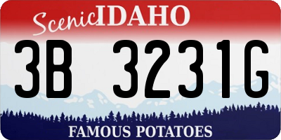 ID license plate 3B3231G