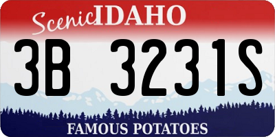 ID license plate 3B3231S