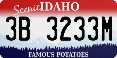 ID license plate 3B3233M