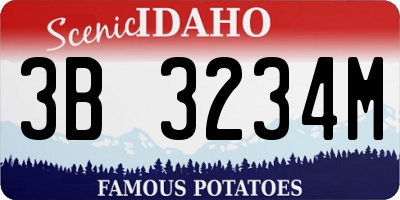 ID license plate 3B3234M