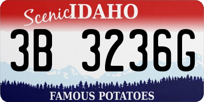 ID license plate 3B3236G