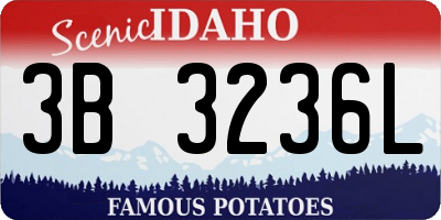ID license plate 3B3236L
