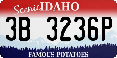 ID license plate 3B3236P