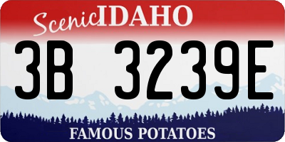ID license plate 3B3239E