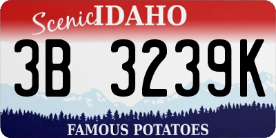 ID license plate 3B3239K