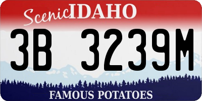 ID license plate 3B3239M