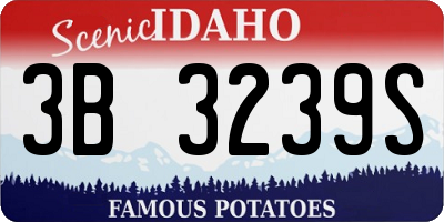 ID license plate 3B3239S