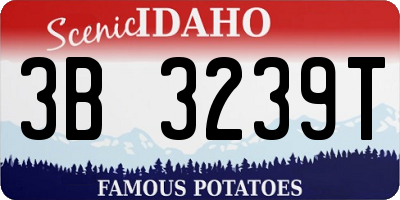 ID license plate 3B3239T