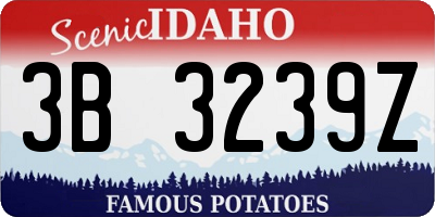 ID license plate 3B3239Z
