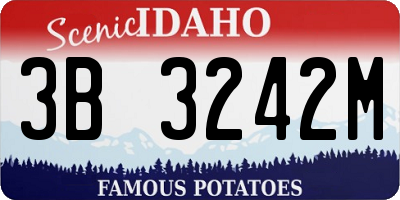ID license plate 3B3242M