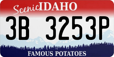 ID license plate 3B3253P