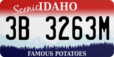 ID license plate 3B3263M