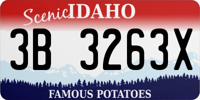 ID license plate 3B3263X