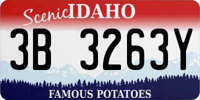 ID license plate 3B3263Y