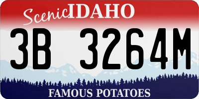 ID license plate 3B3264M