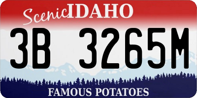 ID license plate 3B3265M