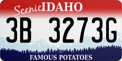 ID license plate 3B3273G