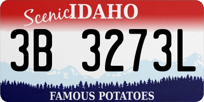 ID license plate 3B3273L
