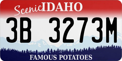 ID license plate 3B3273M