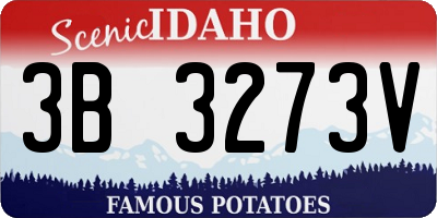 ID license plate 3B3273V