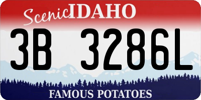 ID license plate 3B3286L