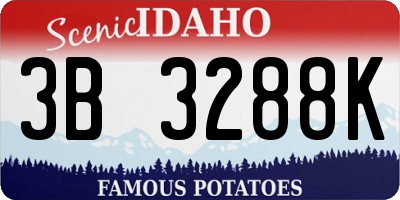 ID license plate 3B3288K