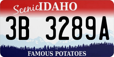 ID license plate 3B3289A