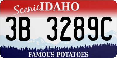 ID license plate 3B3289C