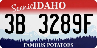 ID license plate 3B3289F
