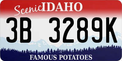 ID license plate 3B3289K