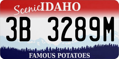 ID license plate 3B3289M