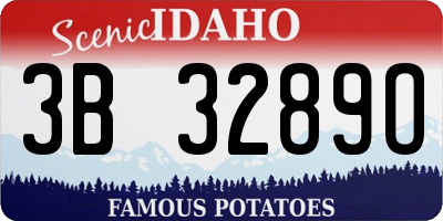 ID license plate 3B3289O