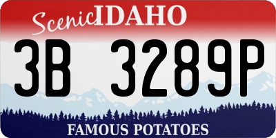 ID license plate 3B3289P