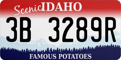 ID license plate 3B3289R