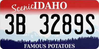 ID license plate 3B3289S
