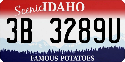ID license plate 3B3289U