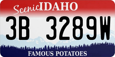 ID license plate 3B3289W