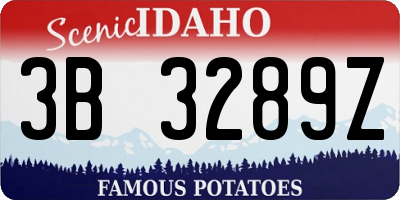 ID license plate 3B3289Z