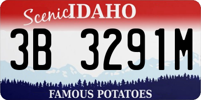 ID license plate 3B3291M