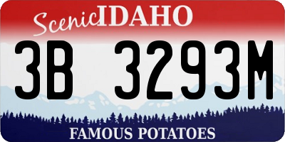 ID license plate 3B3293M