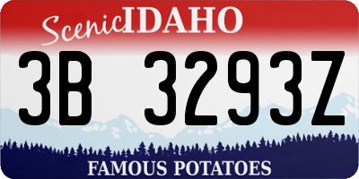 ID license plate 3B3293Z