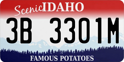 ID license plate 3B3301M