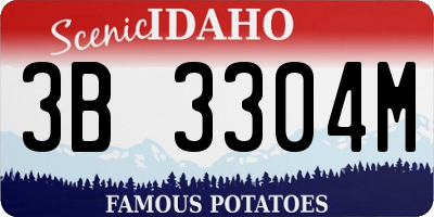 ID license plate 3B3304M