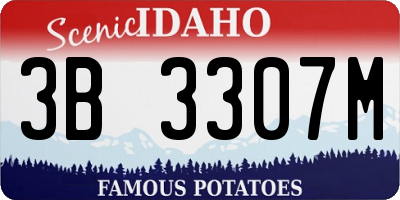 ID license plate 3B3307M
