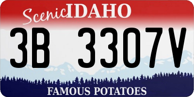 ID license plate 3B3307V