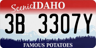 ID license plate 3B3307Y