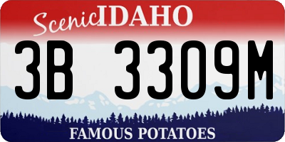 ID license plate 3B3309M